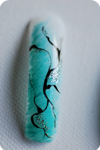 Nieuwe Nailart