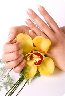 Aanbieding Nagelstudio